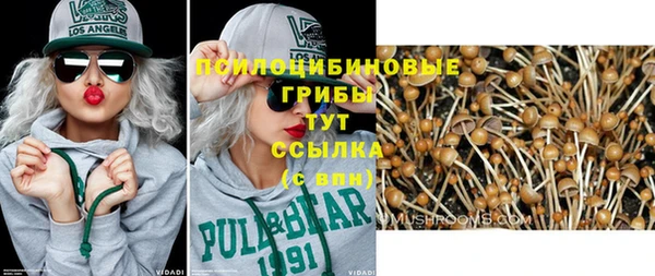 амфетамин Богданович