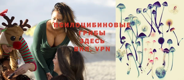 соль курить ск Богородск