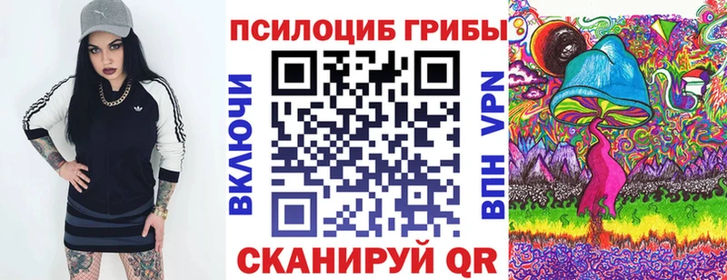 Псилоцибиновые грибы Cubensis Ярцево